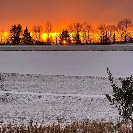 Naturblick Zur Falkenlay