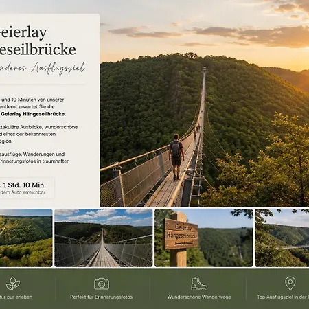 Naturblick Zur Falkenlay *